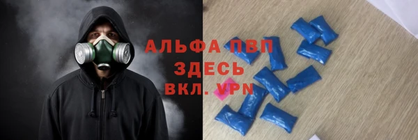 крисы Пестово