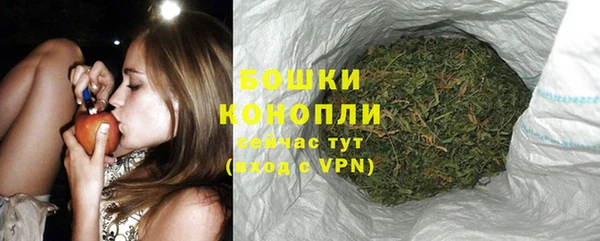 крисы Пестово