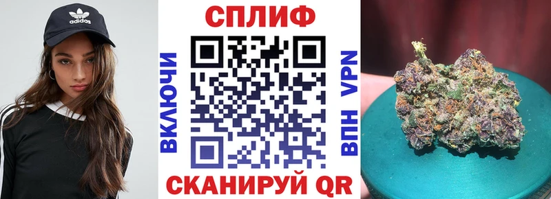 Купить где  Кизилюрт  Бошки Шишки конопля 